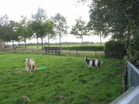 Christien en Jolinda 2006